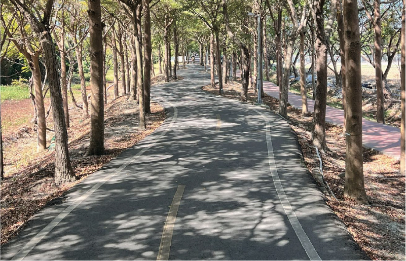 Ｓ彎道-4