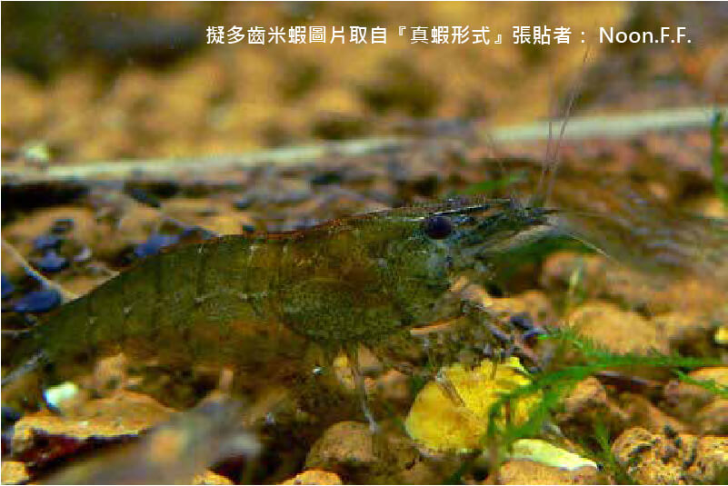 穿龍圳-5