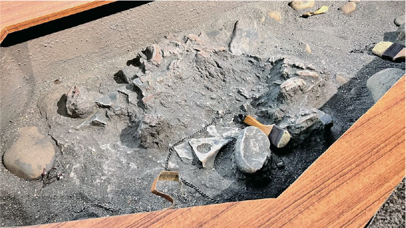 牛罵頭遺址文化園區-3
