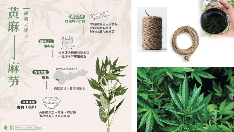 萬和宮麻芛文化館-3