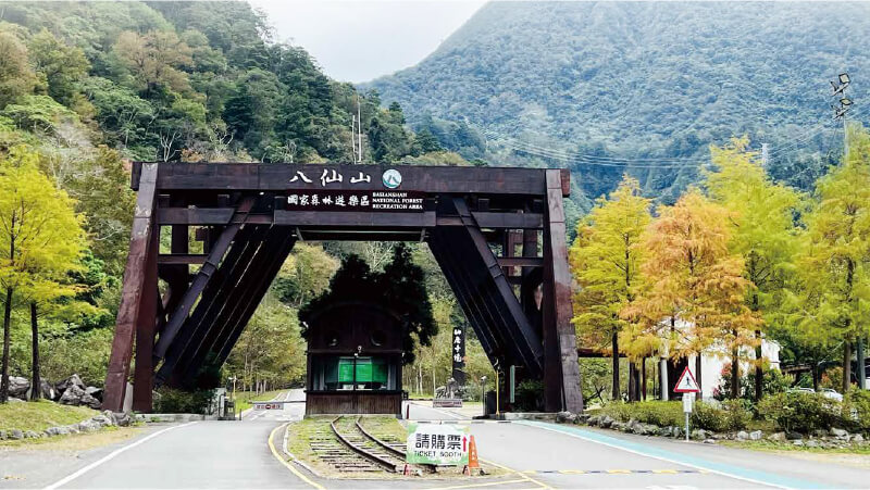 八仙山林場-3